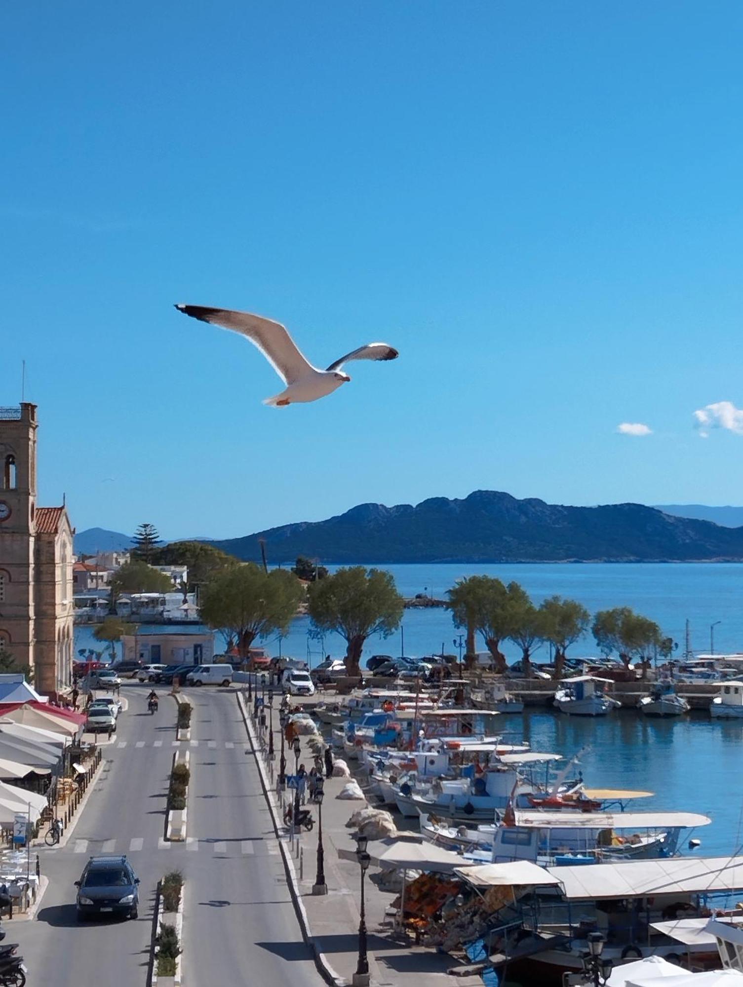 Aegina Port Apt 2-Διαμέρισμα Στο Λιμάνι Της Αίγινας 2 Exterior foto
